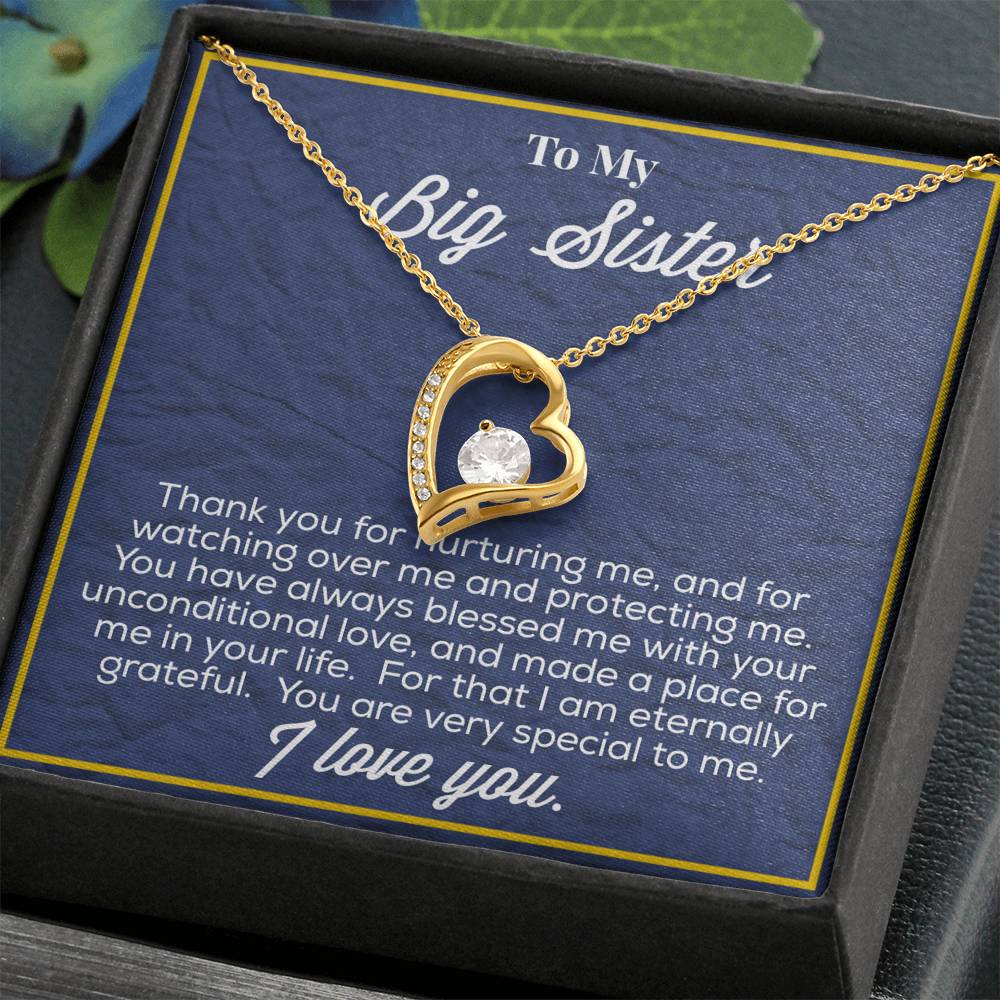 To My Big Sister Forever Love Necklace