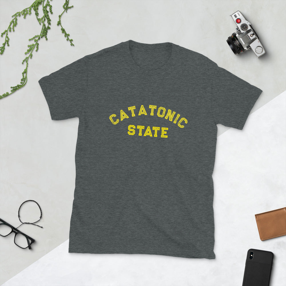 Funny Sarcastic Shirt - Catatonic State T-Shirt
